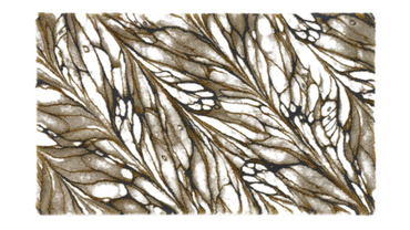 Dywanik Abyss & Habidecor Diane