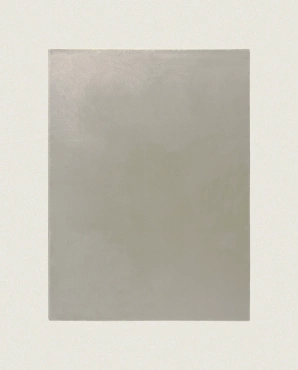 Dywan wełniany Rols Castor Plus 319 pod wymiar