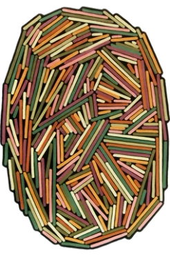 Dywan Toulemonde Bochart Brindilles Printemps