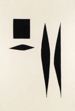 Dywan Toulemonde Bochart Nanquim Blanc