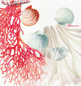 Poduszka dekoracyjna Blumarine Seychelles Coral