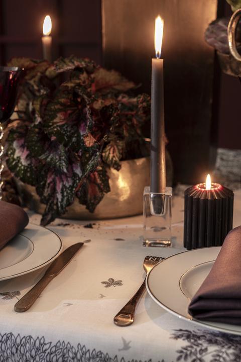 Obrus lniany Alexandre Turpault Monceau