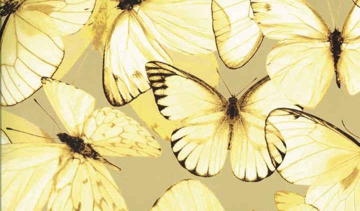 Narzuta satynowa Blumarine Occhi Blu - 3 kolory