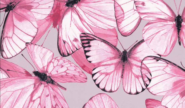 Narzuta satynowa Blumarine Occhi Blu Powder Pink