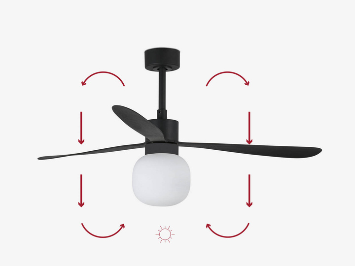 Wentylator sufitowy Faro Barcelona Amelia L Black Ball LED Fan DC