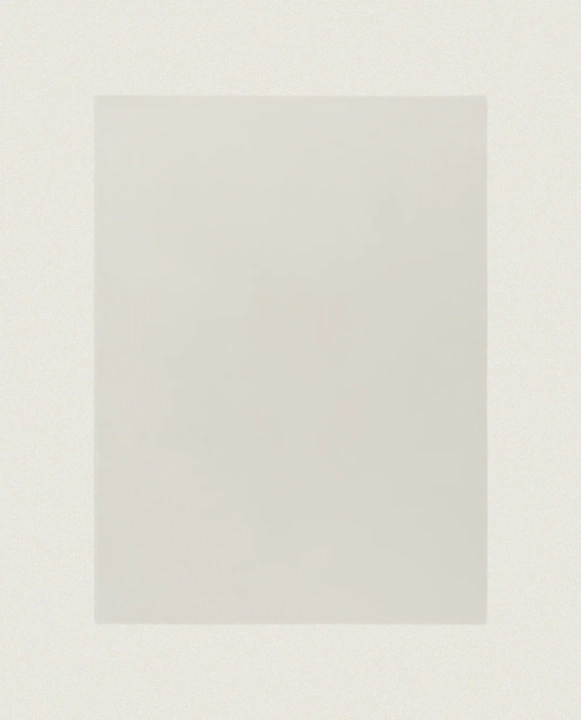 Dywan wełniany Rols Castor Plus 301 pod wymiar