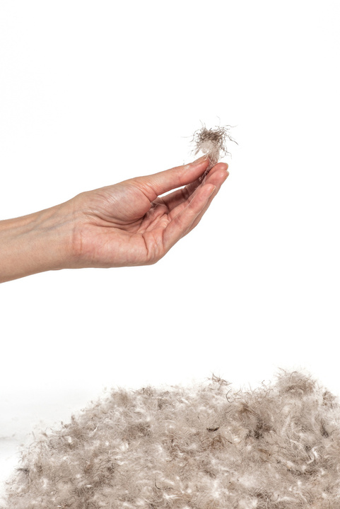 Poduszka puchowa Hefel Alaska 3-komorowa Soft (90% pierze, 100% batyst bawełniany)