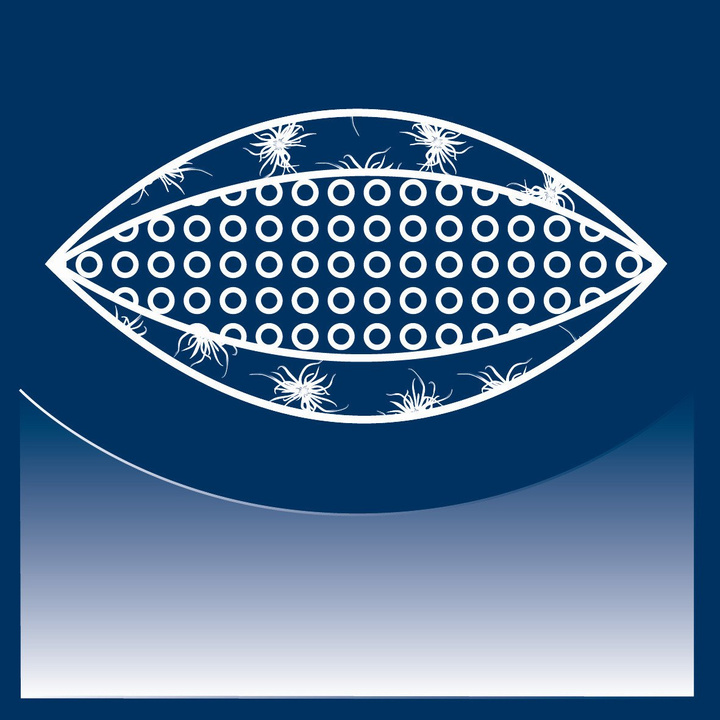 Poduszka puchowa Dauny Capa Fibre (100% puch, 100% tkanina bawełniana)