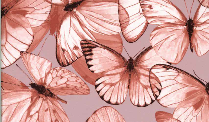 Narzuta satynowa Blumarine Occhi Blu Peach