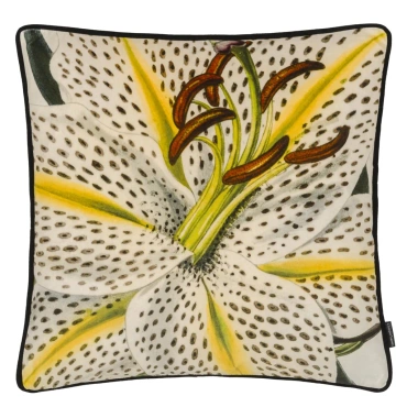 Poduszka dekoracyjna Christian Lacroix Flowered Craie