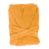 Curcuma