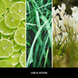Uzupełniacz do odświeżacza Millefiori Milano Car Icon Lime&Vetiver