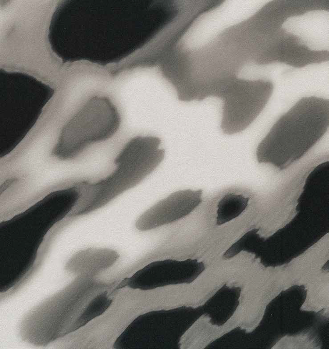 Szlafrok Blumarine Dakota - 2 kolory