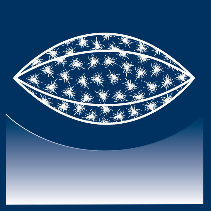 Poduszka puchowa Dauny Eider Soft Plus Rose (100% puch, 100% tkanina jedwabna)