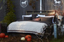 Narzuta bawełniana Lexington Graphic Quilted Beige