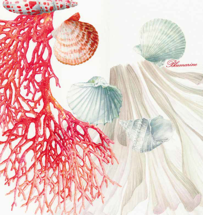 Narzuta perkalowa Blumarine Seychelles Coral