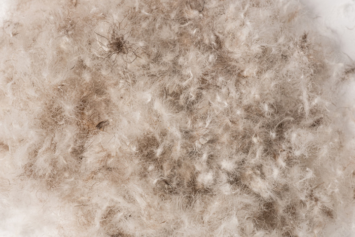 Poduszka puchowa Hefel Alaska 3-komorowa Soft (90% pierze, 100% batyst bawełniany)