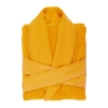  Curcuma