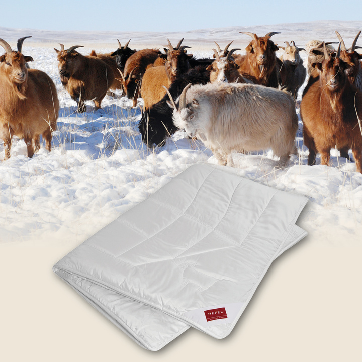 Kołdra kaszmirowa Hefel Cashmere Deluxe zimowa (70% kaszmir,100% tkanina bawełniania)
