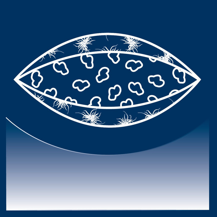 Poduszka puchowa Dauny Capa Wool (100% puch, 100% tkanina bawełniana)