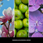 Odświeżacz do samochodu Millefiori Milano Car Icon Textile Floral Magnolia Blossom & Wood