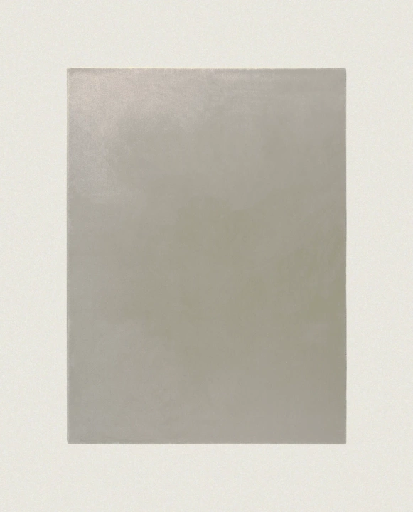 Dywan wełniany Rols Castor Plus 319 pod wymiar