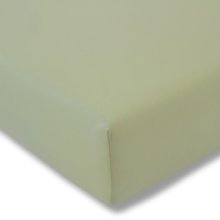 Prześcieradło ze ściągaczem Estella Zwirn Jersey Premium Kaktusowe