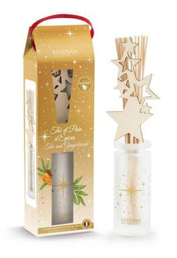 Pałeczki zapachowe 100 ml Esteban Paris Tea and Gingerbread
