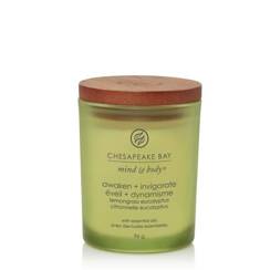 Świeca zapachowa Chesapeake Bay Candles Awaken + Invigorate Lemongrass Eucalyptus mała