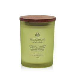 Świeca zapachowa Chesapeake Bay Candles Awaken + Invigorate Lemongrass Eucalyptus średnia