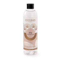 Uzupełniacz do pałeczek 250 ml Esteban Paris Iris Cachemire