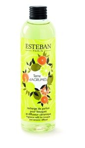 Uzupełniacz do pałeczek 250 ml Esteban Paris Terre D'Agrumes