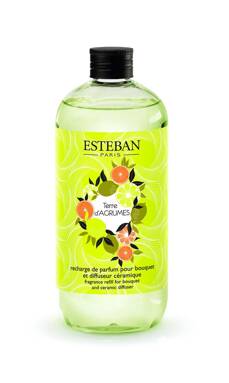 Uzupełniacz do pałeczek 500 ml Esteban Paris Terre D'Agrumes