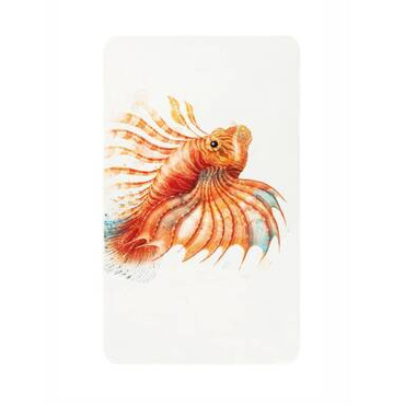 Ręcznik plażowy Graccioza Lionfish