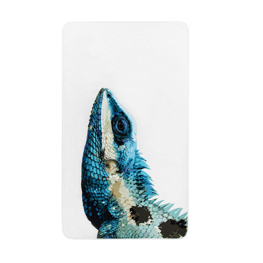 Ręcznik plażowy Graccioza Iguana