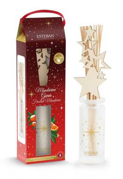 Pałeczki zapachowe 100 ml Esteban Paris Frosted Mandarin