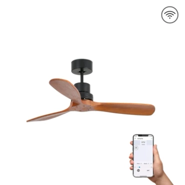 Wentylator sufitowy Faro Barcelona Mini Lantau Matt S Black DC SMART